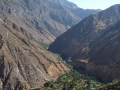 Colca Canyon