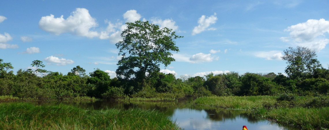 The road to Rurrenabaque…